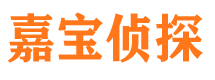 井研市调查公司